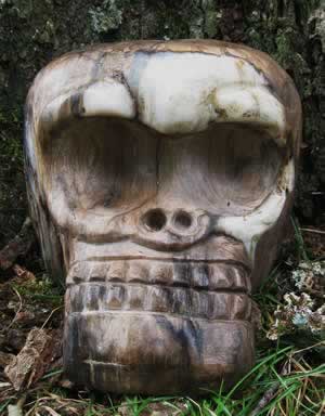Tao Chi, Petrified Wood Mongolian Crystal Skull 